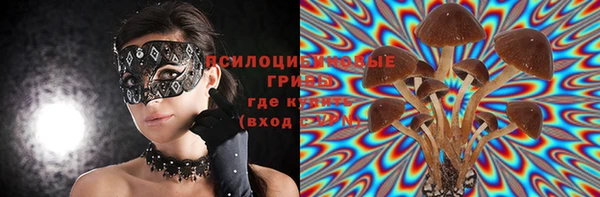 эйфоретик Арсеньев
